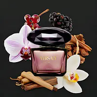 Inspired by Crystal Noir Versace - Master