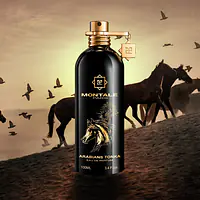 Similar to Arabians Tonka - Master