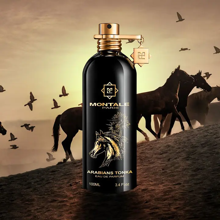 Similar to Arabians Tonka - Master